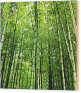 Simplicity And Bamboo Forests Wood Print