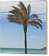 Single Palm Tree On Beach With Unoccupied Sun Loungers Wood Print