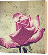 Single Red And White Rose With Vintage Concrete Background Wood Print