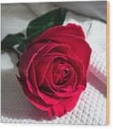 Single Red Rose Wood Print