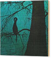 Singular Anhinga Wood Print