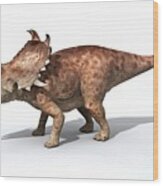 Sinoceratops Male Dinosaur Wood Print