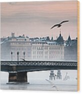 Skeppsholmsbron, Stockholm Wood Print