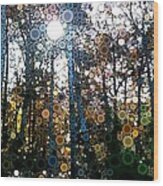 Skyway Forest At Dawn Wood Print