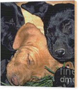 Sleeping Labrador Retriever Puppies 8 Wood Print