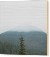 Smoke Covered Mountains Wood Print