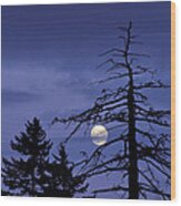 Smoky Moon Wood Print