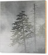 Smoky Mountain Mist Wood Print