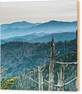 Smoky Mountain Overlook Wood Print