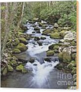 Smoky Mountains Stream Wood Print