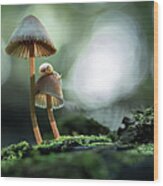Snails Atop Mushrooms Wood Print