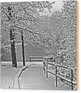 Snow Along The Path Wood Print