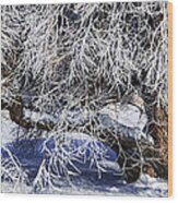Snow And Ice Covered Tree Wood Print