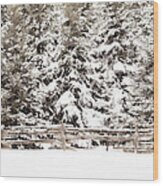 Snow Blanket Wood Print