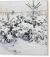 Snow-bound Snowshoe Hare Wood Print
