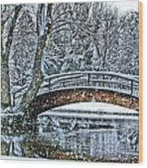 Snow Bridge Wood Print