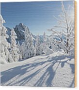 Snow Covered Trees On Mt. Breitenberg Wood Print