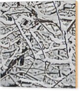Snow Filled Branches 2 Wood Print