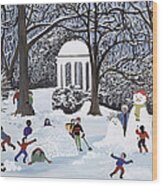 Snow Follies Wood Print