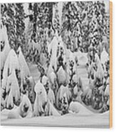 Snow Goblins-mt Ranier Wood Print