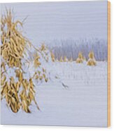 Snowy Corn Shocks - Artistic Wood Print