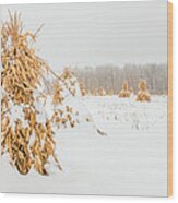Snowy Corn Shocks Wood Print