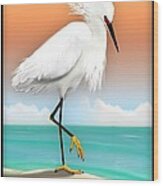 Snowy Egret White Heron On Beach Wood Print