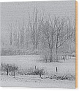 Snowy Fields Wood Print