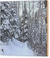 Snowy Hiking Trail Wood Print