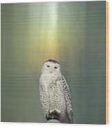 Snowy Owl And Aurora Borealis Wood Print