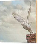 Snowy Owl In Flight Wood Print