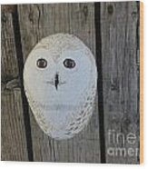 Snowy Owl Rock Wood Print