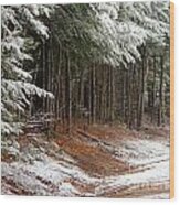 Snowy Walk Wood Print