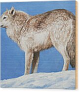 Snowy Wolf Wood Print