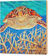 Sea  Turtle Soaring Over Staghorn Wood Print