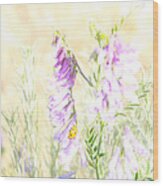 Soft Desert Flower Wood Print