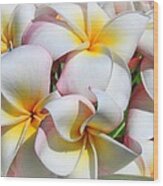 Soft Plumeria Natural Bouquet Wood Print