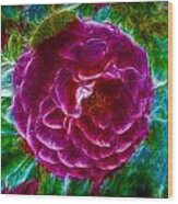 Soft Purple Rose Wood Print