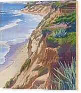 Solana Beach Ocean View Wood Print