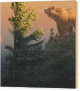 Something On The Air - Grizzly Wood Print