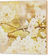 Song Of Spring Iii - White Cherry Blossoms Wood Print