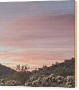 Sonoran Desert Sunset Wood Print
