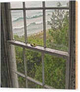 South Manitou Island Lighthouse Window Wood Print