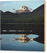 Southeast Alaska Waterscape Wood Print