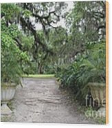 Southern Garden Welcome Wood Print