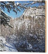Spearfish Canyon In Snow Wood Print