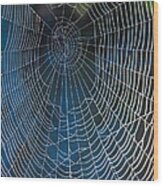 Spider's Net Wood Print