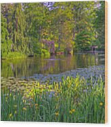 Spring Morning At Mount Auburn Cemetery Wood Print