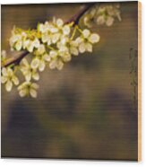Spring Haiga Poem With Plum Blossoms Wood Print