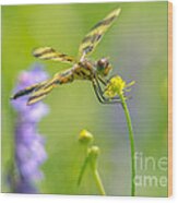 Spring Halloween Pennant Wood Print